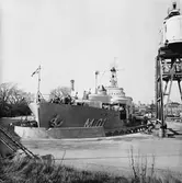 Älvsnabben i polhemsdockan