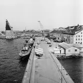 Torpedbåtar vid verkstadspiren