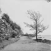 Varvsträdgården omslagsbild till varvet runt