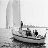 Segelbåten (Viggen)