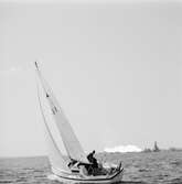 Segelbåten (Viggen)