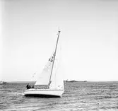 Segelbåten L 32 till sjöss