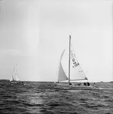 Segelbåten Viggen och L 32 till sjöss 