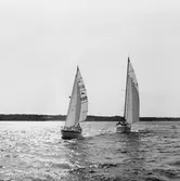 Segelbåten Viggen och L 32 till sjöss 