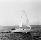 Segelbåten Viggen och L 32 till sjöss 