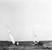 Segelbåten Viggen och L 32 till sjöss 