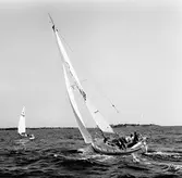 Segelbåten Viggen och L 32 till sjöss 