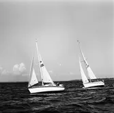 Segelbåten Viggen och L 32 till sjöss 