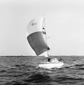 Segelbåten Viggen och L 32 till sjöss