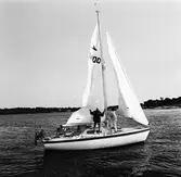 Segelbåten Viggen och L 32 till sjöss