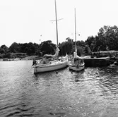 Segelbåten Viggen och L 32 till sjöss