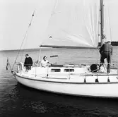 Segelbåten Viggen och L 32 till sjöss