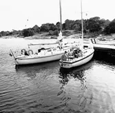 Segelbåten Viggen och L 32 till sjöss