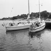 Segelbåten Viggen och L 32 till sjöss