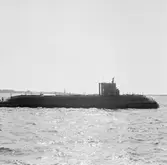 Sjösättning av ubåten sjöhästen 