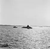 Sjösättning av ubåten sjöhästen 