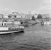 Sjösättning av ubåten sjöhästen 