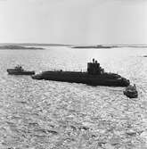 Sjösättning av ubåten sjöhästen 