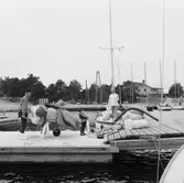 Viggen vid bryggan på Dragsö