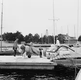 Viggen vid bryggan på Dragsö