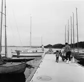 Viggen vid bryggan på Dragsö