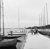 Viggen vid bryggan på Dragsö