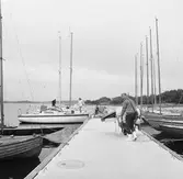 Viggen vid bryggan på Dragsö