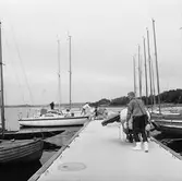 Viggen vid bryggan på Dragsö