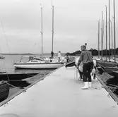 Viggen vid bryggan på Dragsö