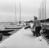 Viggen vid bryggan på Dragsö