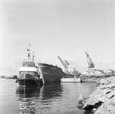 Tankbåten Petrotank