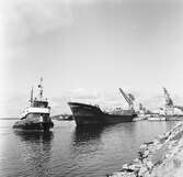 Tankbåten Petrotank