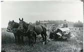 Berg sn, Hallstahammar kn, Hallstahammar.
Skördearbete på Åsby gård i början av 1930-talet.