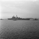 Kryssaren Tre kronor