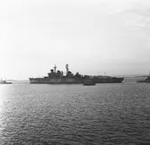 Kryssaren Tre kronor