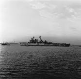 Kryssaren Tre kronor