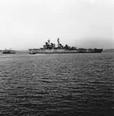 Kryssaren Tre kronor