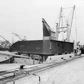 Förstäv på M/s Stella