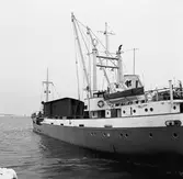 Förstäv på M/s Stella