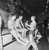 KKrvs mästerskap i simning