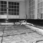 KKrvs mästerskap i simning