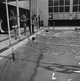 KKrvs mästerskap i simning