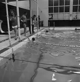 KKrvs mästerskap i simning