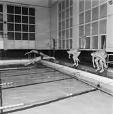 KKrvs mästerskap i simning