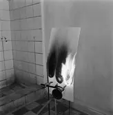 Brandprov med kyl o fryselement