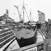 M s Oktant i docka 4