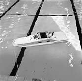 Modell av flygfisken 1001