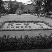 KK.rvs monter i Hoglans park