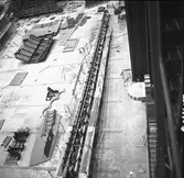 Sektionen typ Spica II