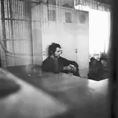 Sektioner typ Spica II